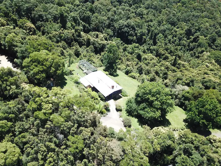 Sixth view of Homely rural property listing, 521 Muldiva Road, Dorrigo NSW 2453