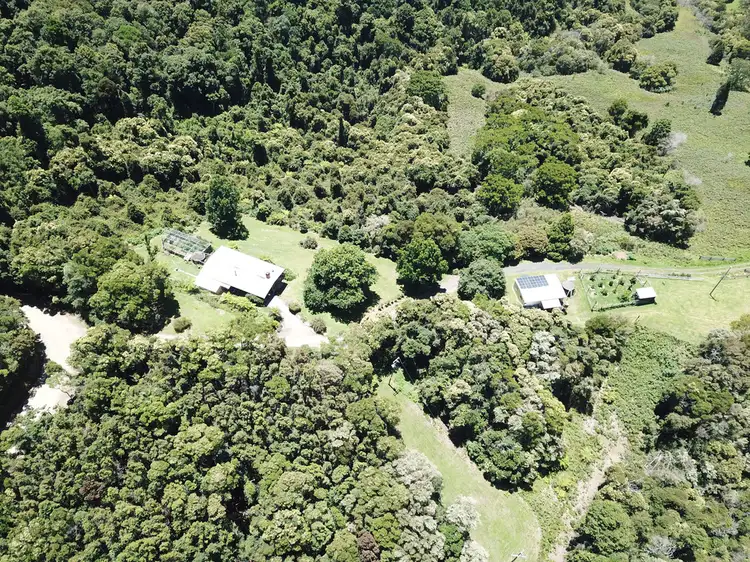 Seventh view of Homely rural property listing, 521 Muldiva Road, Dorrigo NSW 2453