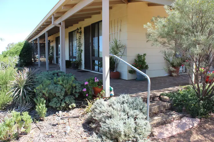 Main view of Homely house listing, 59 Stacy St, Dowerin WA 6461