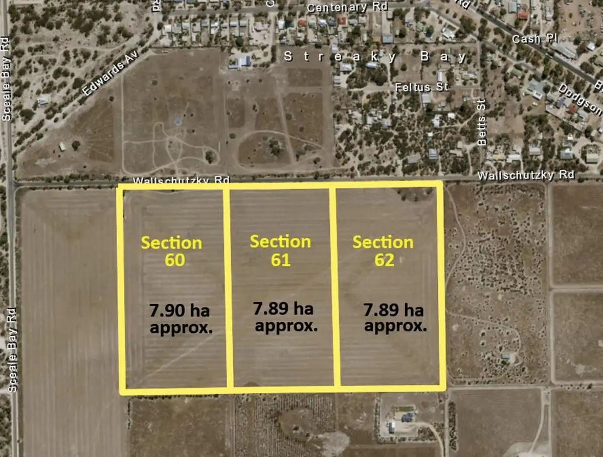Main view of Homely rural property listing, 60 Wallschutzky Road, Streaky Bay SA 5680