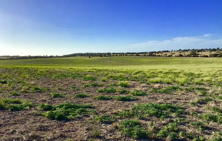 Second view of Homely rural property listing, 60 Wallschutzky Road, Streaky Bay SA 5680