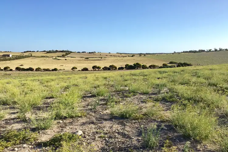 Fourth view of Homely rural property listing, 60 Wallschutzky Road, Streaky Bay SA 5680