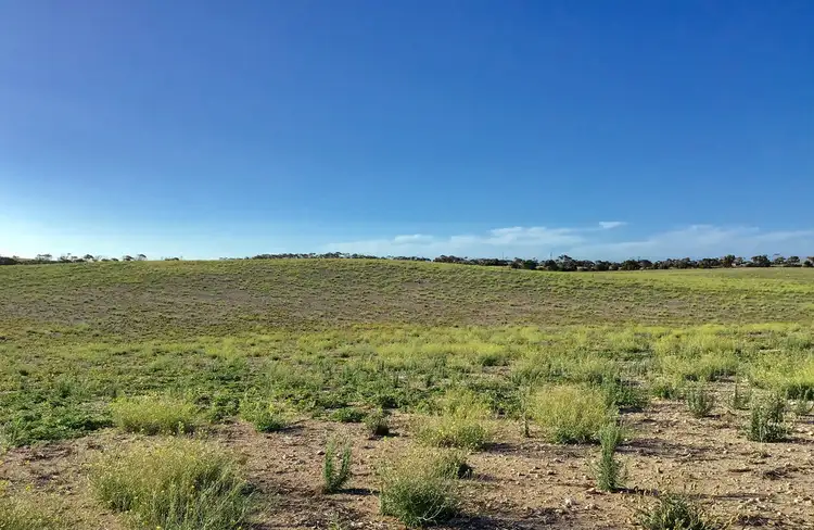 Sixth view of Homely rural property listing, 60 Wallschutzky Road, Streaky Bay SA 5680