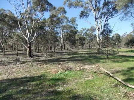 * Mount Misery Road, St Arnaud VIC 3478