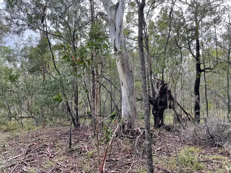 Seventh view of Homely land listing, Lot 3 Bootmaker Drive, Round Hill QLD 4677