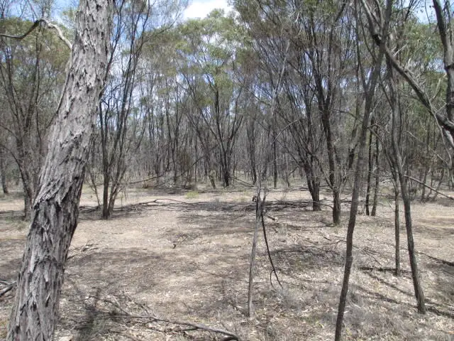 LOT 66 RIDGE ROAD, Tara QLD 4421