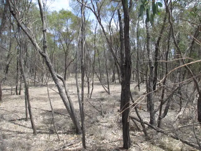 Second view of Homely rural property listing, LOT 66 RIDGE ROAD, Tara QLD 4421