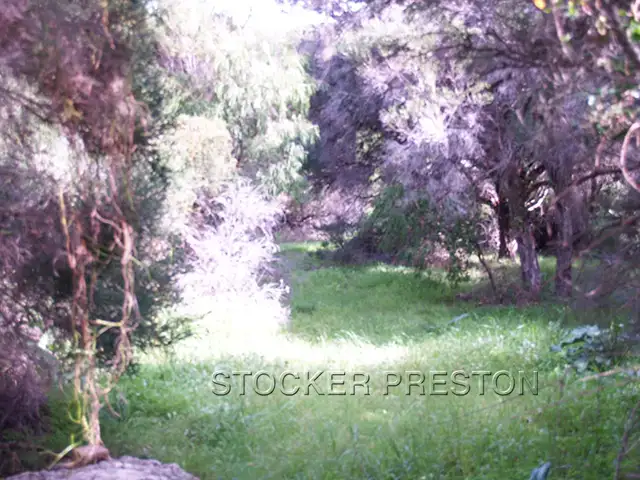 Sixth view of Homely land listing, 10 Bandicoot Close, Gnarabup, Margaret River WA 6285