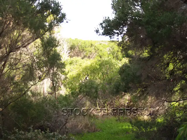 Seventh view of Homely land listing, 10 Bandicoot Close, Gnarabup, Margaret River WA 6285