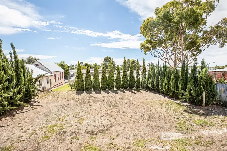 Second view of Homely house listing, 8 ROBERTSON STREET, Naracoorte SA 5271