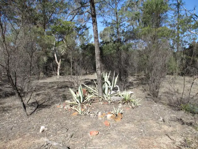 Third view of Homely rural property listing, LOT 105 WINFIELD ROAD, Tara QLD 4421