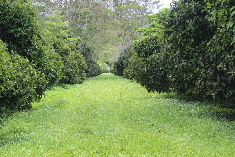 Address available on request