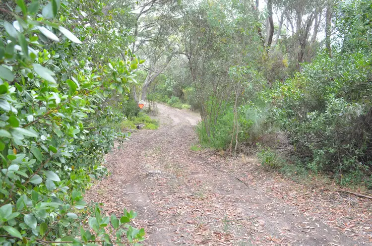 Main view of Homely rural property listing, Lot 4 Nora Creina Road, Robe SA 5276