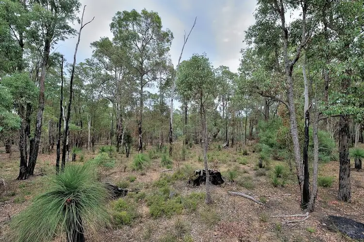 Fifth view of Homely land listing, 220 Clutterbuck Close, Stoneville WA 6081