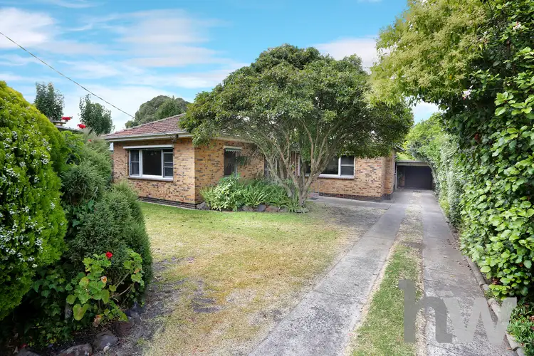 Main view of Homely house listing, 14 Neiley Street, Newtown VIC 3220