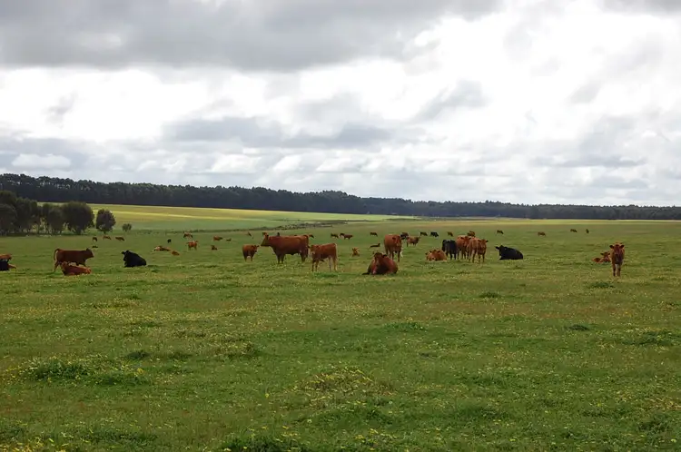 Lot 43 Merivale, Esperance WA 6450