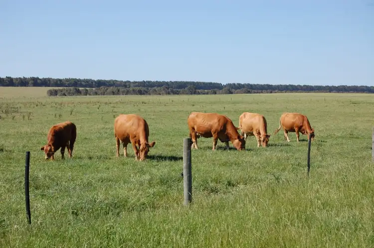 Fourth view of Homely rural property listing, Lot 43 Merivale, Esperance WA 6450