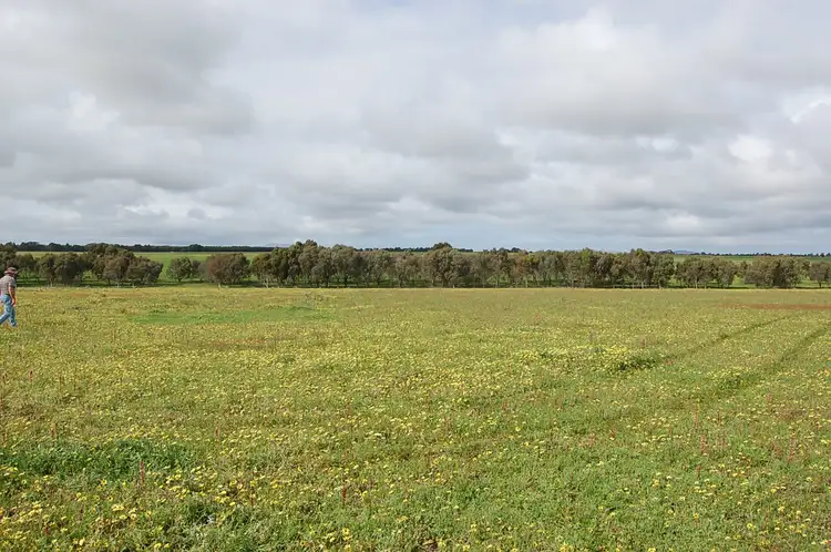 Fifth view of Homely rural property listing, Lot 43 Merivale, Esperance WA 6450