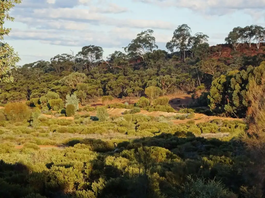 Main view of Homely rural property listing, Lot 8335 Brookton Highway, Brookton WA 6306