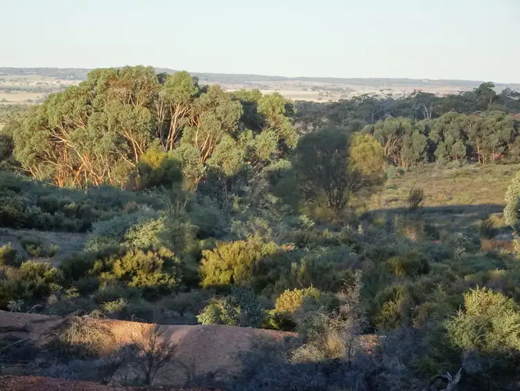Third view of Homely rural property listing, Lot 8335 Brookton Highway, Brookton WA 6306