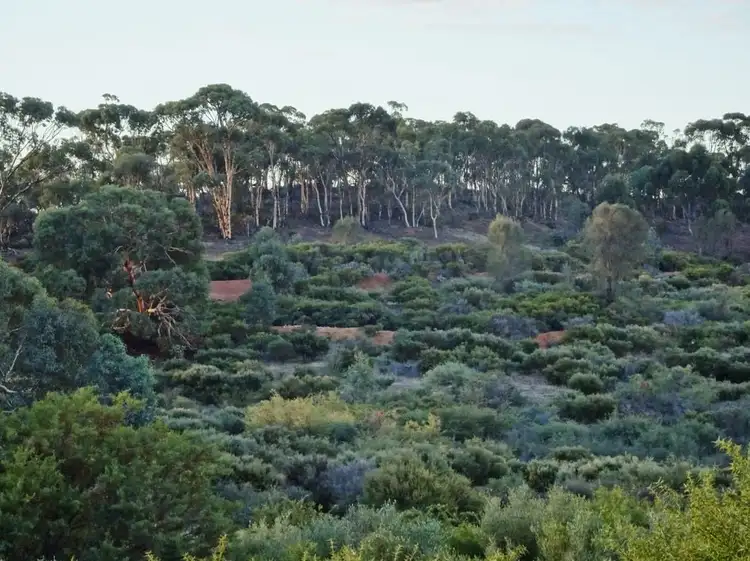 Fourth view of Homely rural property listing, Lot 8335 Brookton Highway, Brookton WA 6306