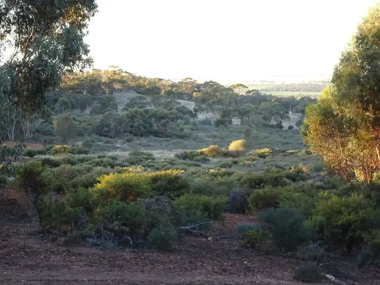 Fifth view of Homely rural property listing, Lot 8335 Brookton Highway, Brookton WA 6306