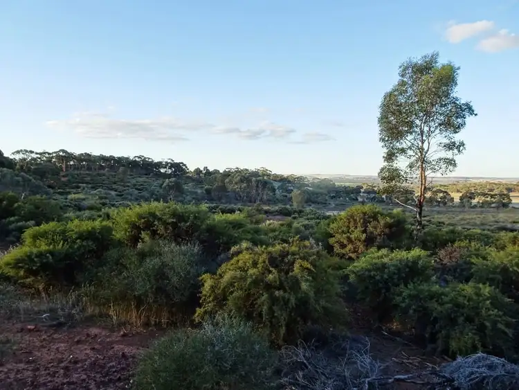 Sixth view of Homely rural property listing, Lot 8335 Brookton Highway, Brookton WA 6306