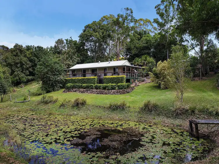 569 Black Mountain Road, Black Mountain QLD 4563