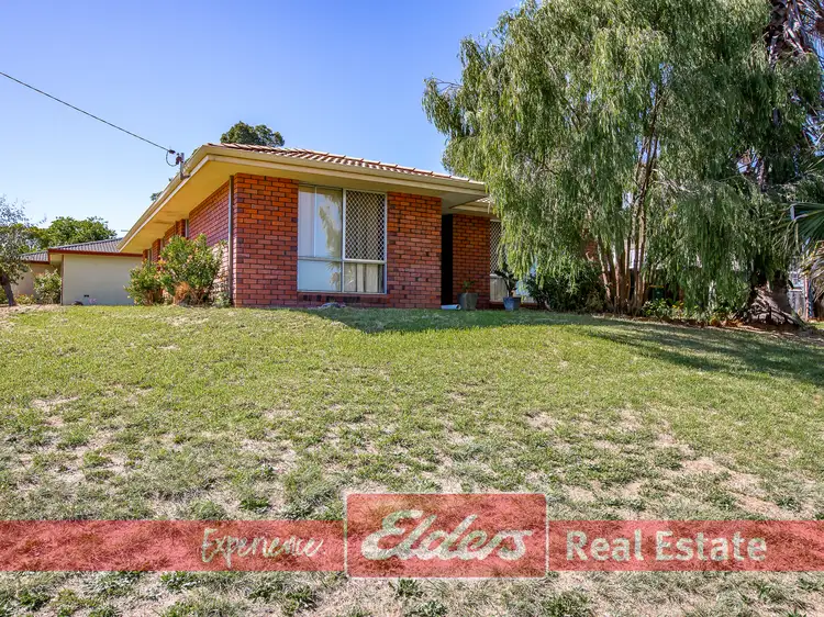 8 Thomson Street, Donnybrook WA 6239