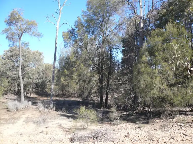 LOT 1 McCASKERS ROAD, Tara QLD 4421