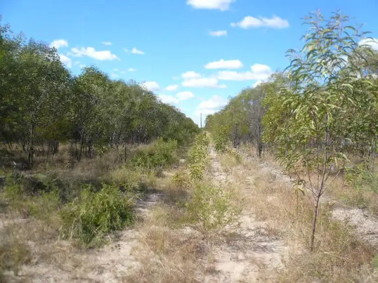 Second view of Homely land listing, LOT 31 BISLEY ROAD, Tara QLD 4421