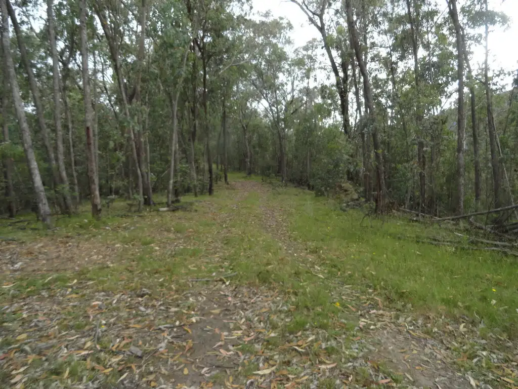 Main view of Homely rural property listing, 1306 Larkin Lane South, Upper Gundowring VIC 3691