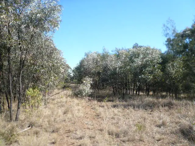 Third view of Homely rural property listing, LOT 76 KYTES ROAD, Tara QLD 4421
