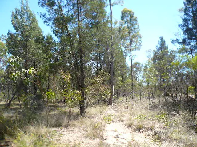 Main view of Homely rural property listing, LOT 248 BENNETT SCHOOL ROAD, Tara QLD 4421