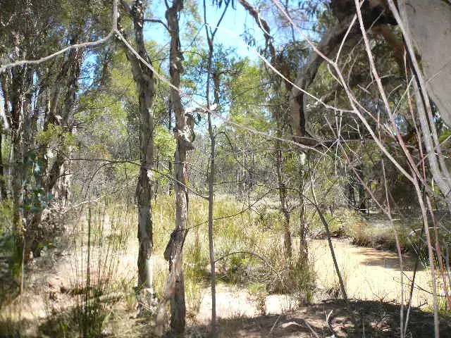 Third view of Homely rural property listing, LOT 248 BENNETT SCHOOL ROAD, Tara QLD 4421