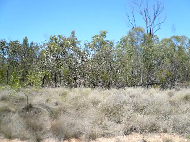 Lot15 LUCKY ROAD, Tara QLD 4421
