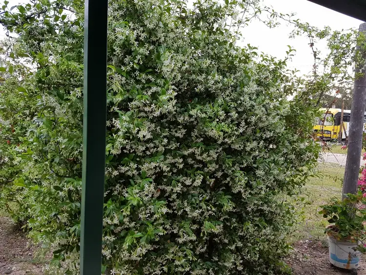 Seventh view of Homely rural property listing, 256 BILLABONG LANE, Tara QLD 4421