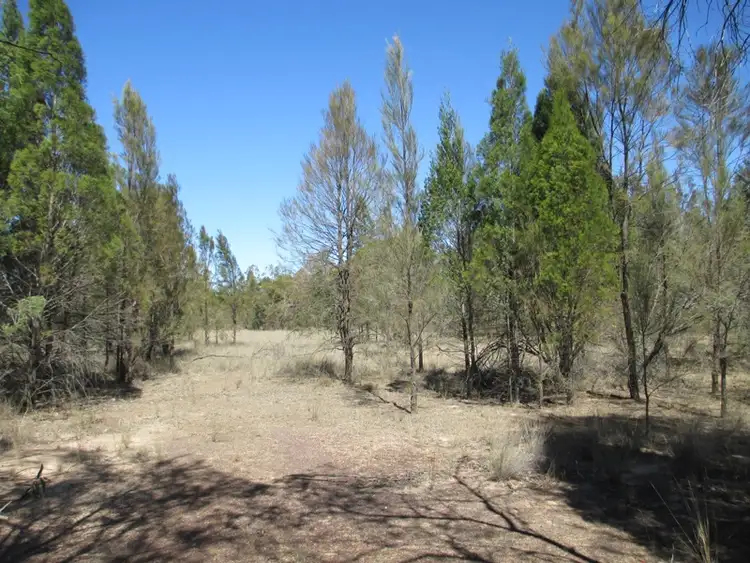 Main view of Homely rural property listing, # LOT 95 TIMOTHY ROAD, Tara QLD 4421