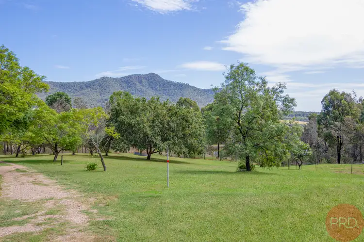 587 Wollombi Road, Broke NSW 2330