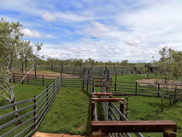 Sixth view of Homely rural property listing, 1 Ruby Plains & Sturt Creek Stations, Halls Creek WA 6770