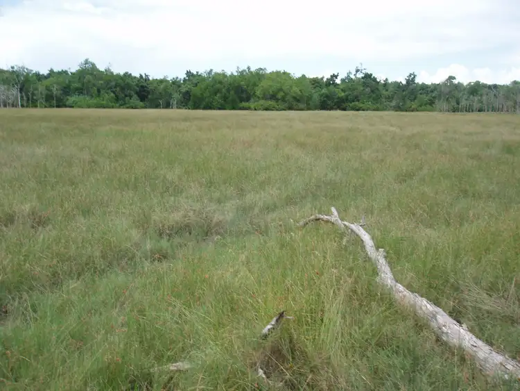 Fifth view of Homely land listing, 0 Orchid Creek Road, Preston QLD 4800