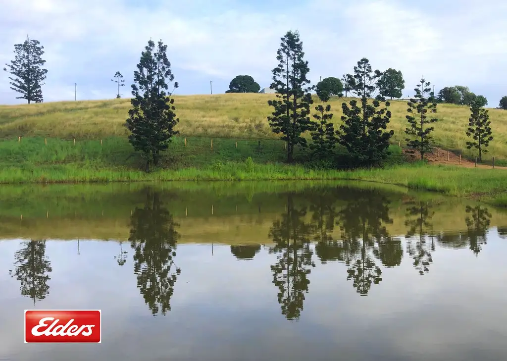 Main view of Homely land listing, Lot 17 McIntosh Creek Rd, Mcintosh Creek QLD 4570