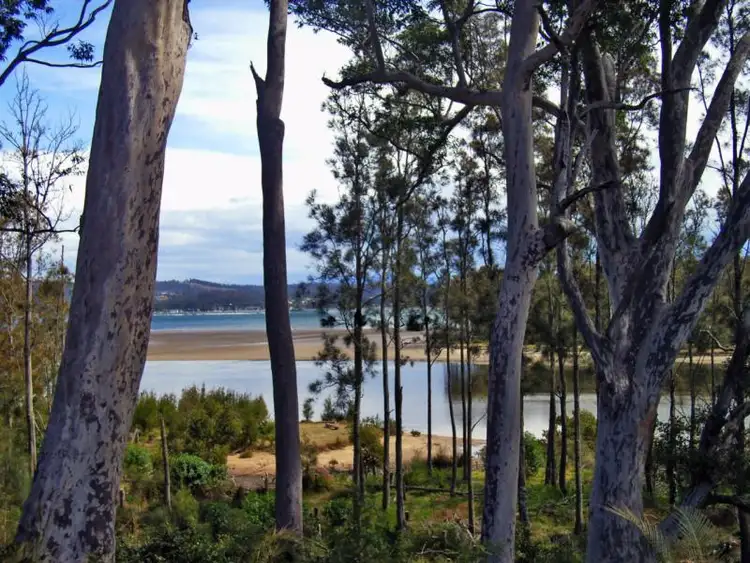 Fifth view of Homely land listing, 79 Courtenay Crescent, Long Beach NSW 2536