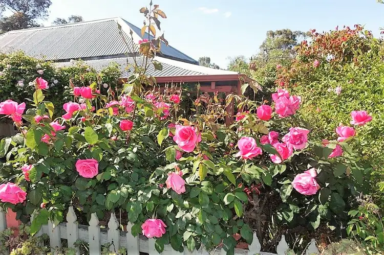 Main view of Homely house listing, 16 MAUD STREET, York WA 6302