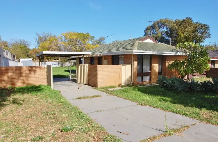 61 Seaflower Crescent, Craigie WA 6025