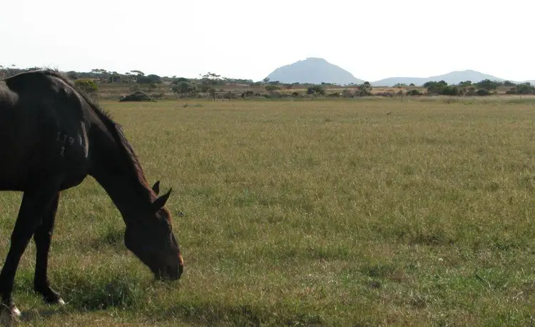 Fourth view of Homely land listing, Lot 520 Verrucosa Pde, Hopetoun WA 6348