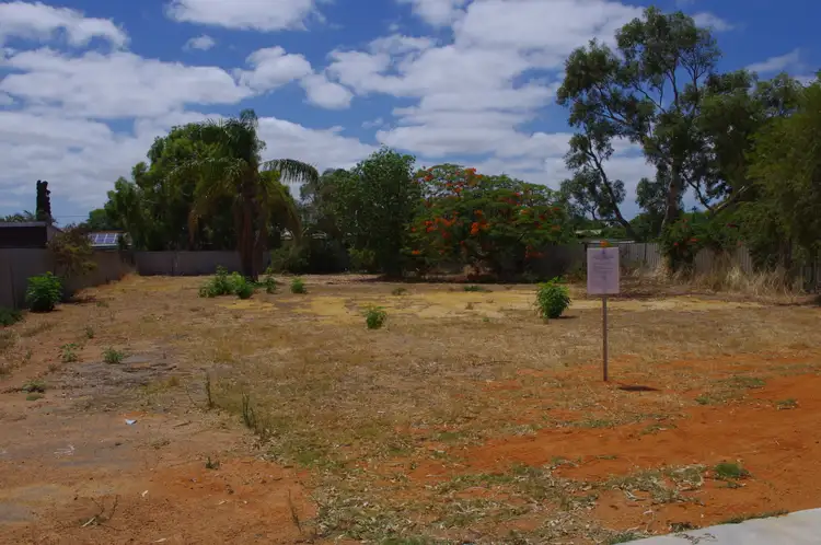 46 Crawford Street, Spalding WA 6530