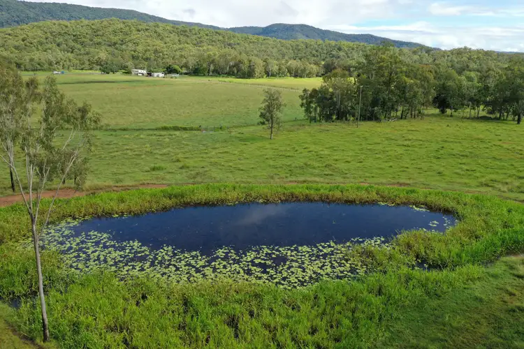 Fifth view of Homely rural property listing, 89806 Bruce Highway, Sarina QLD 4737