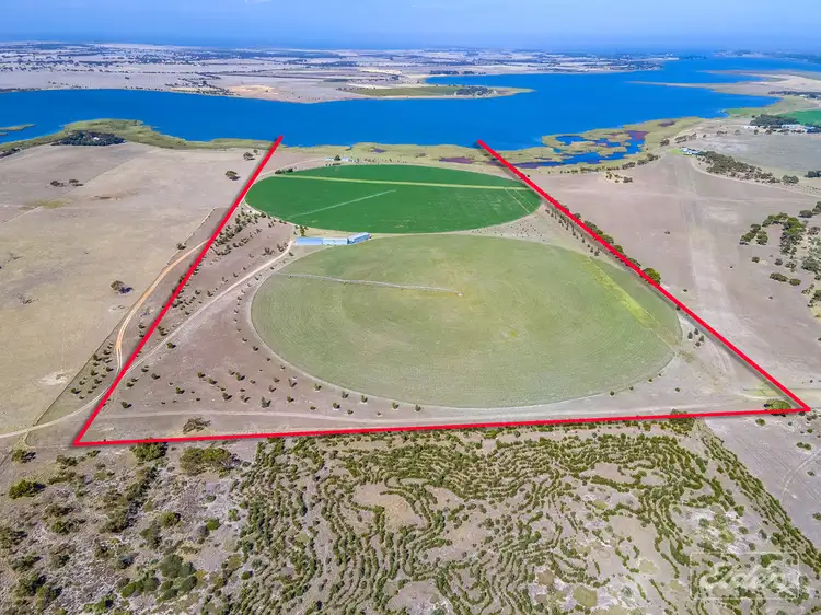 Main view of Homely house listing, 81 Sterling Downs Road, Currency Creek SA 5214