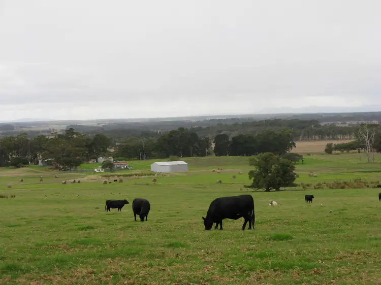 Main view of Homely rural property listing, 397 Meanwood Road, Kronkup WA 6330